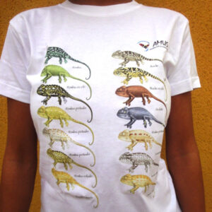 camiseta naturarte camaleones