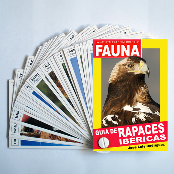 guía de rapaces ibéricas