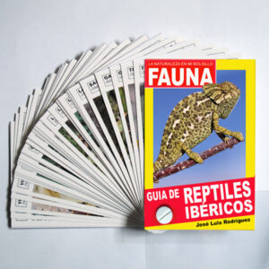 guía de reptiles ibéricos