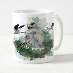 taza aguilucho cenizo