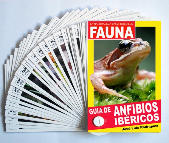 Guía de Anfibios Ibéricos